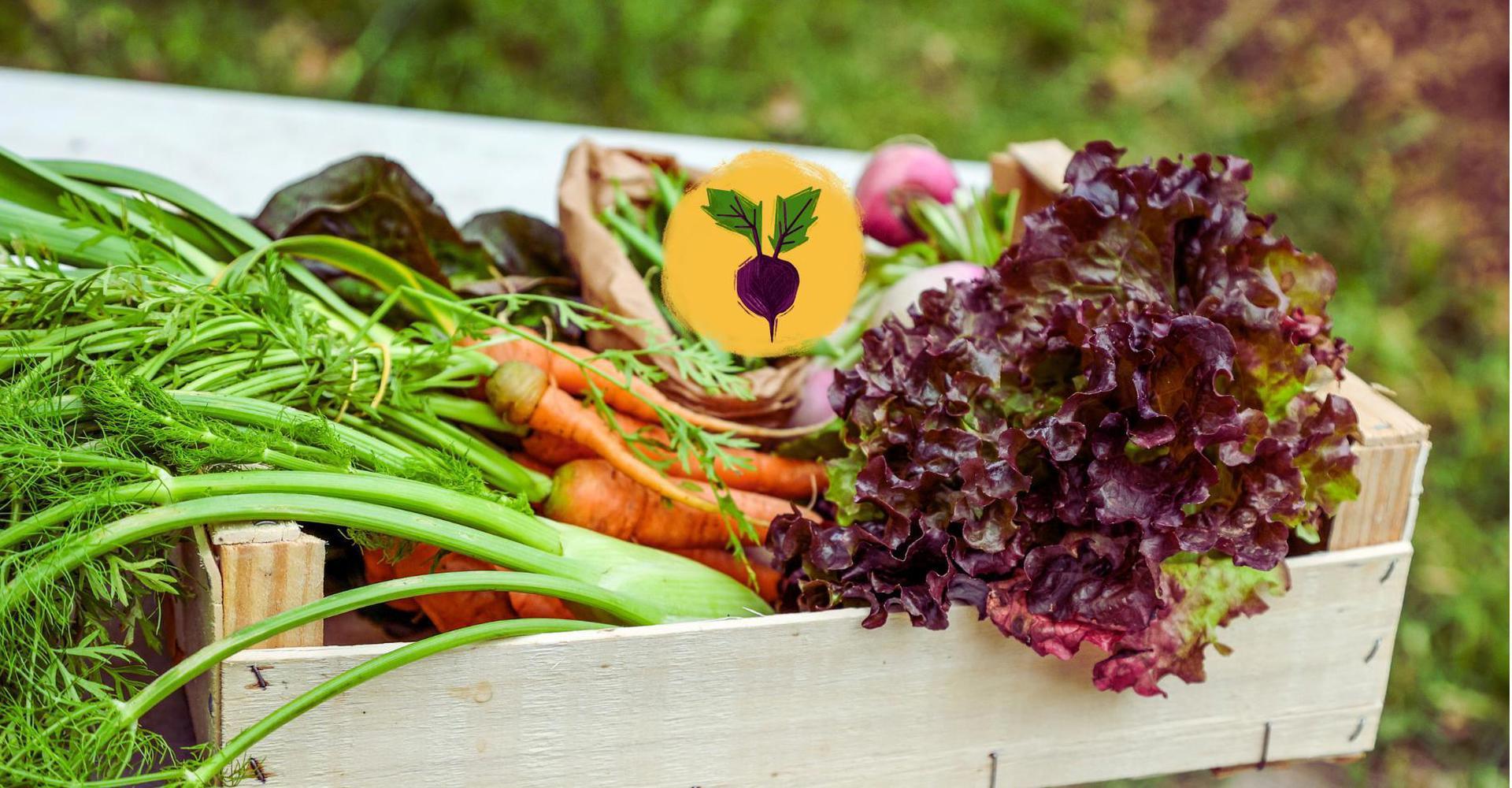 Yellow Belly Farm