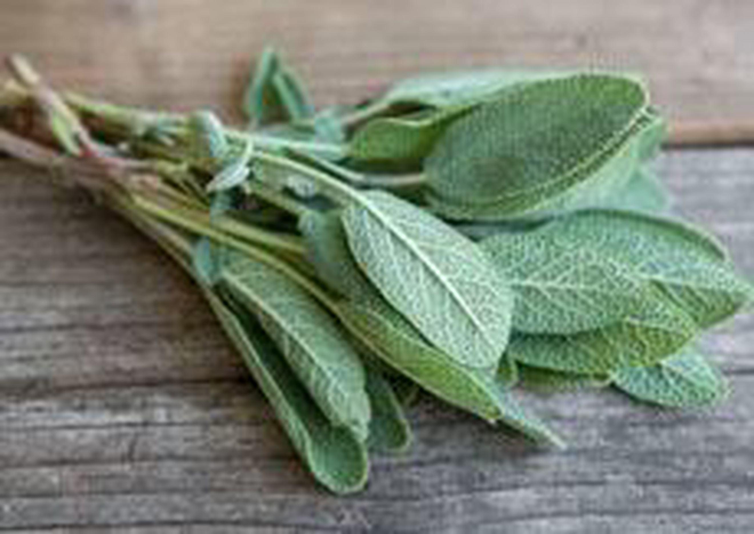 Organic Sage