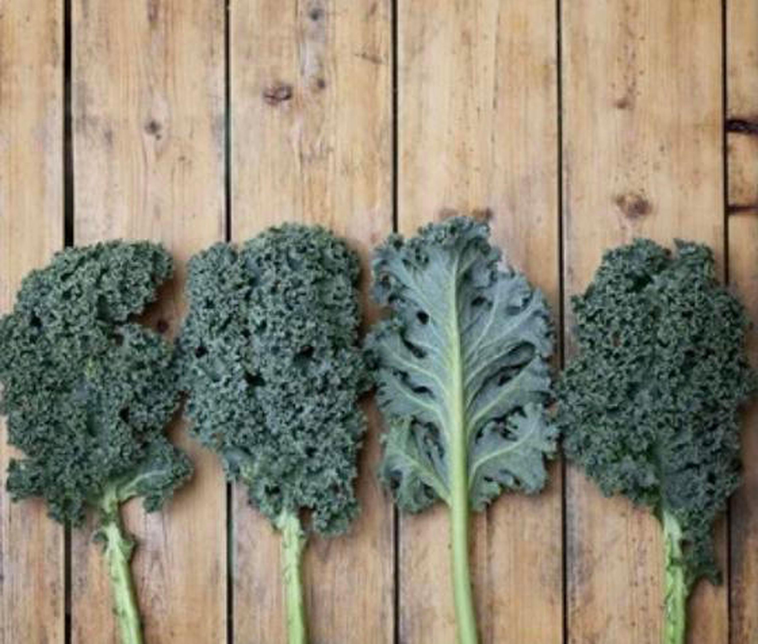 Organic Kale (Curled)