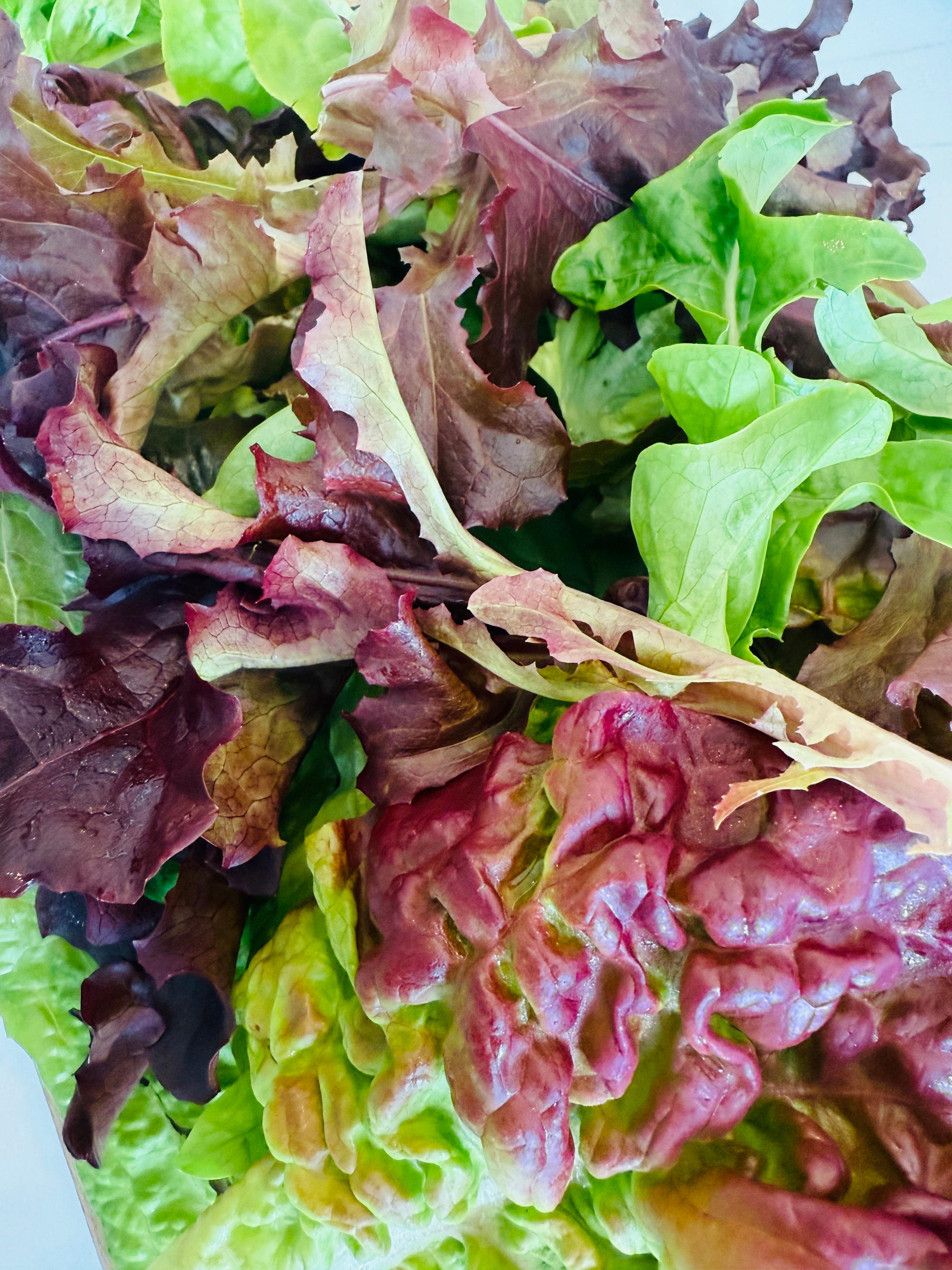 Organic Mixed Salad (1kg)