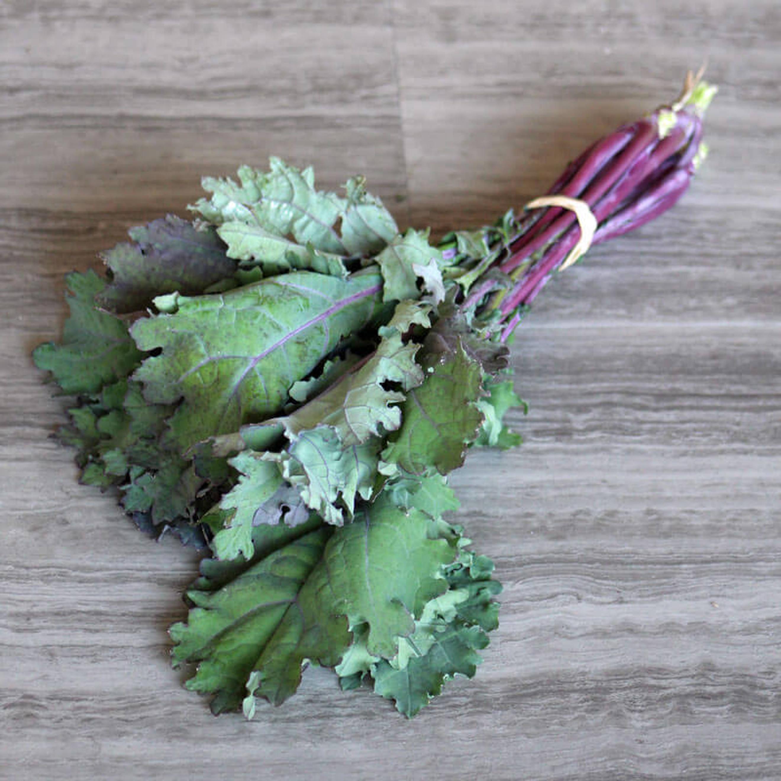 Organic Kale (Red Russian)