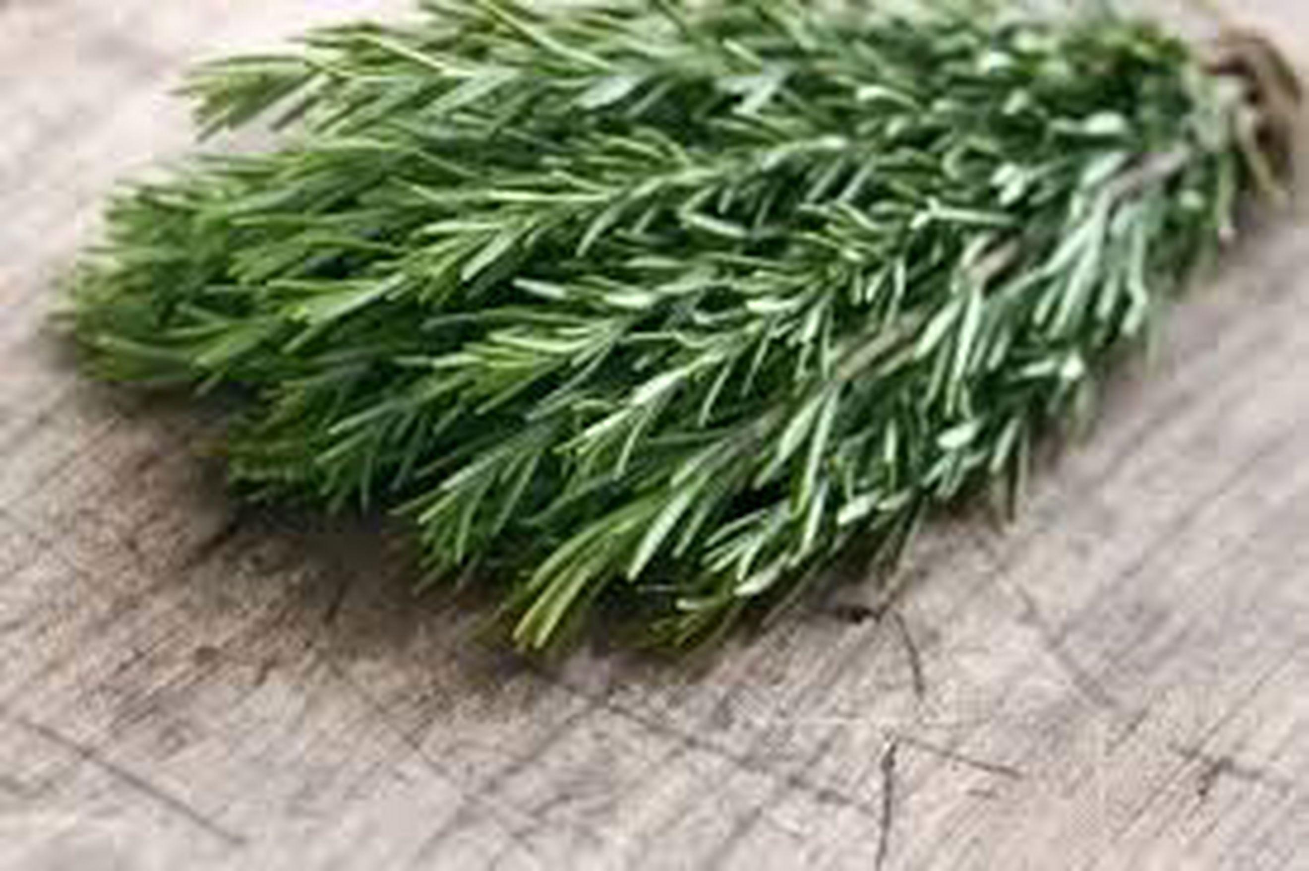 Organic Rosemary