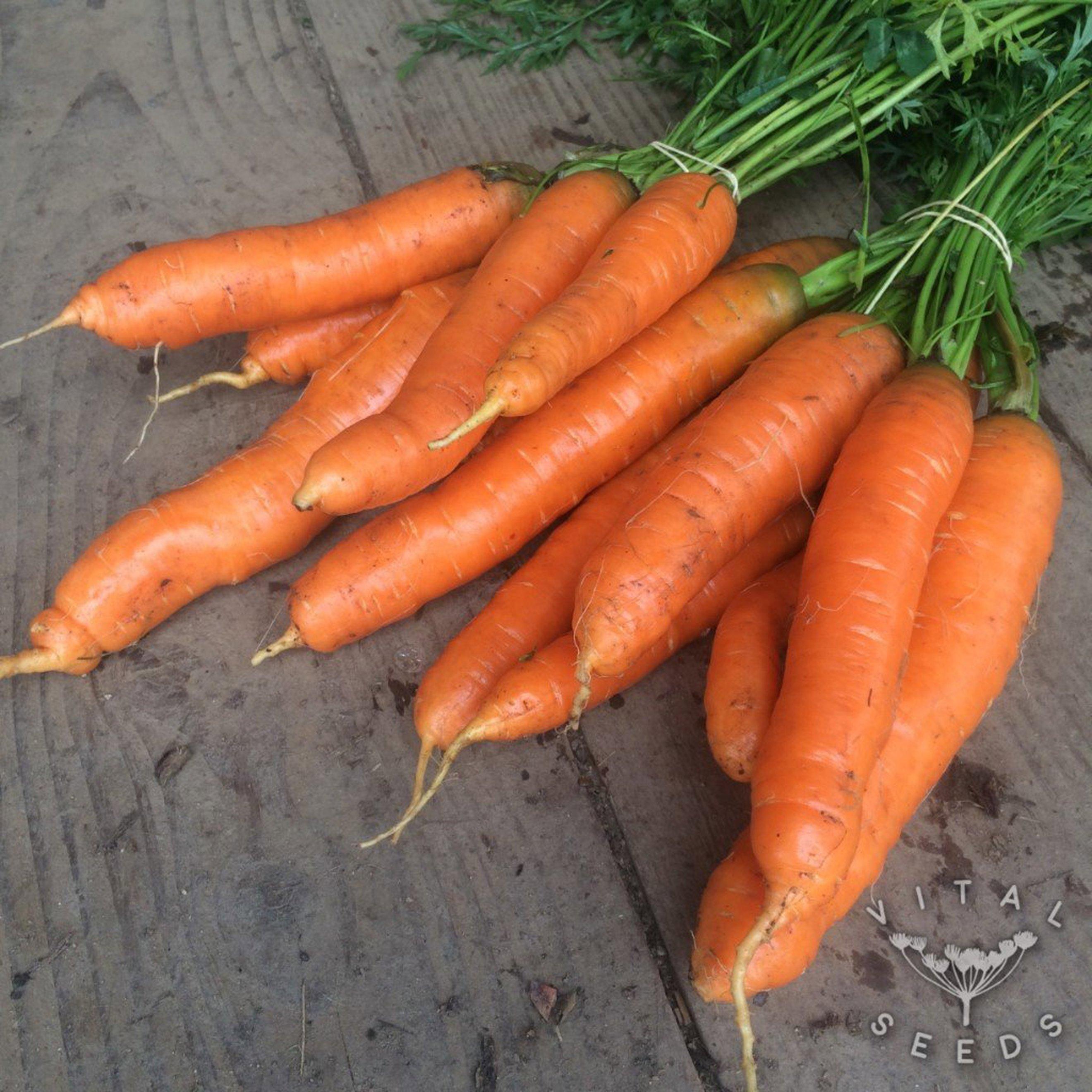 Organic Carrots