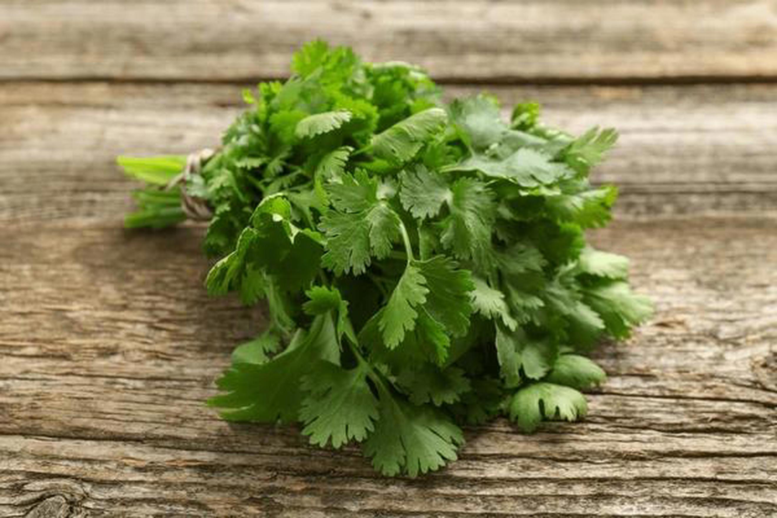 Organic Coriander