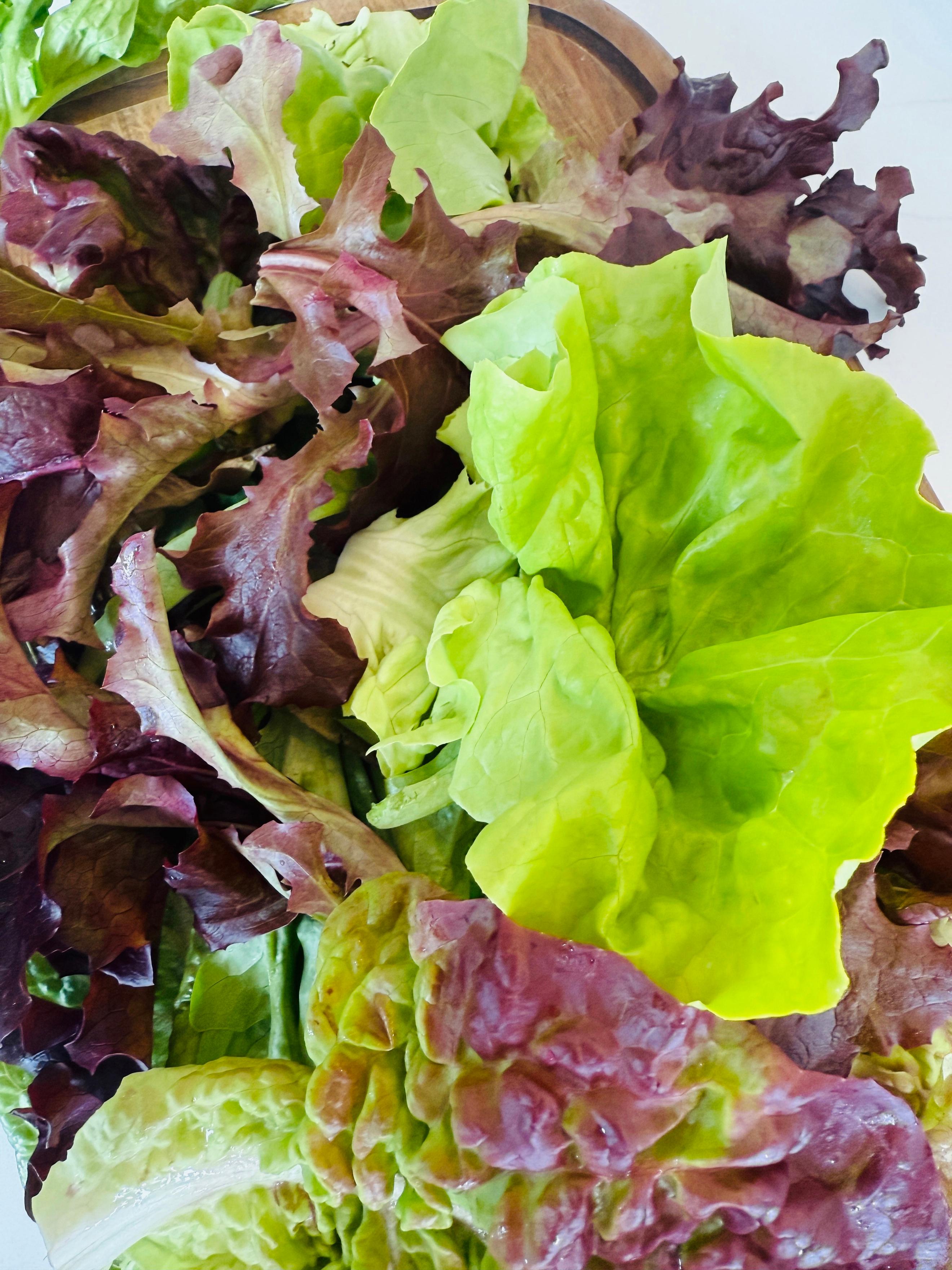 Organic Mixed Salad (110g)
